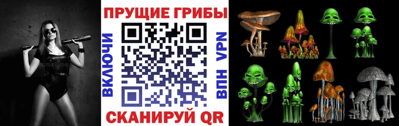Псилоцибиновые грибы прущие грибы  как найти закладки  Чекалин 