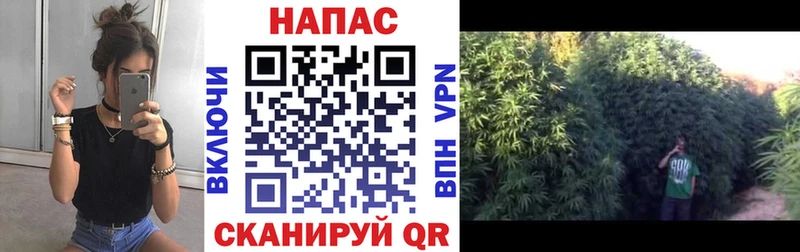 Марихуана семена  купить наркотики цена  Чекалин 